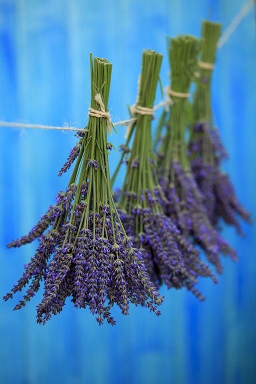 Relax and soothe a crying baby… with lavender