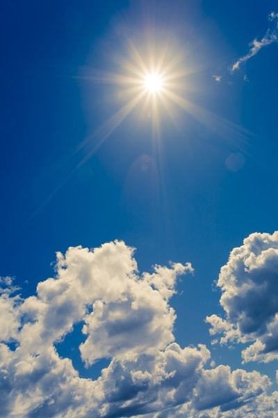 The Importance of Vitamin D