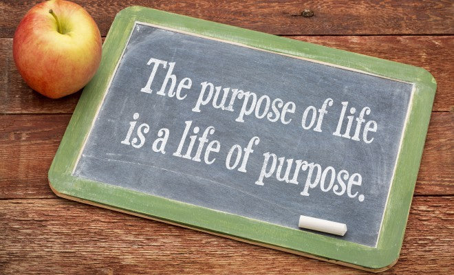 Do You Have a Sense of Purpose?